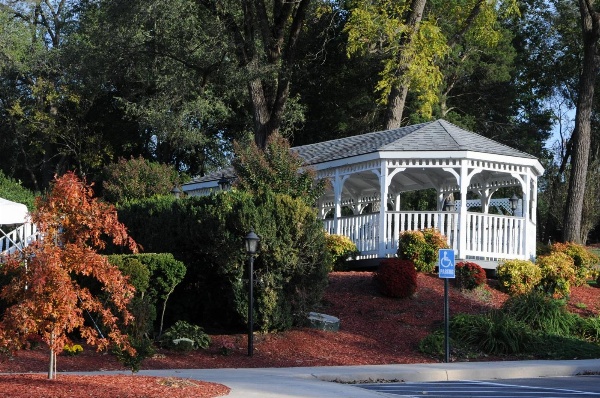 The Mimslyn Inn image 4